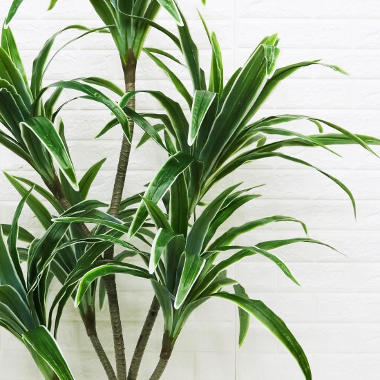 Planta artificiala, Dracaena fara ghiveci, D4263, 170cm, verde/alb Planta artificiala, Dracaena fara ghiveci, D4263, 170cm, verde/alb