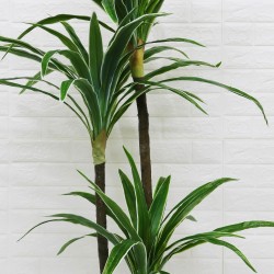 Planta artificiala, Dracaena fara ghiveci, D4264, 165cm, verde/alb