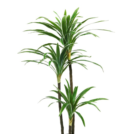 Planta artificiala, Dracaena fara ghiveci, D4264, 165cm, verde/alb Planta artificiala, Dracaena fara ghiveci, D4264, 165cm, verde/alb