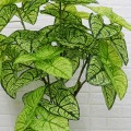 Planta artificiala, Alocasia fara ghiveci, D4287, 165cm, verde/galben Planta artificiala, Alocasia fara ghiveci, D4287, 165cm, verde/galben