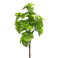 Planta artificiala, Alocasia fara ghiveci, D4287, 165cm, verde/galben Planta artificiala, Alocasia fara ghiveci, D4287, 165cm, verde/galben
