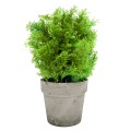 Planta Artificiala cu Ghiveci, D4956, Verde Deschis