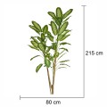 Copac artificial, Dieffenbachia Seguine fara ghiveci, Naimeed D5605, 215x80 cm, Verde