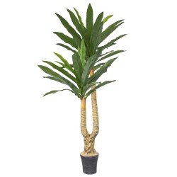 Copac  artificial, Dracaena fara ghiveci, Naimeed D5612, 166x100 cm, Verde
