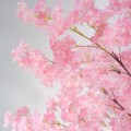 Copac artificial, Cires Japonez (Sakura) fara ghiveci, Naimeed D5624, 185x110 cm, Roz Copac artificial, Cires Japonez (Sakura) fara ghiveci, Naimeed D5624, 185x110 cm, Roz