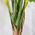 Planta artificiala,Caladium Taro fara ghiveci, Naimeed D5651, 210x177 cm Verde