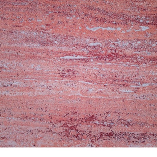 Set 16 panouri decorative din praf de piatra, Naimeed D7313, ignifuge, strat protector ceramic, rezistente la razele UV, 120x60x0.2 cm, coral