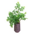 Ghiveci ecologic, Eco-friendly, Naimeed D6351, Mic, din materiale minerale, Mov, 28x25x25cm Ghiveci ecologic, Eco-friendly, Naimeed D6351, Mic, din materiale minerale, Mov, 28x25x25cm