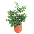 Ghiveci ecologic, Eco-friendly, Naimeed D6355, Mic, din materiale minerale, Portocaliu, 28x25x25cm Ghiveci ecologic, Eco-friendly, Naimeed D6355, Mic, din materiale minerale, Portocaliu, 28x25x25cm