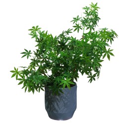 Ghiveci ecologic, Eco-friendly, Naimeed D6362, Mediu, din materiale minerale, Gri, 34x32x32cm