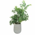 Ghiveci ecologic, Eco-friendly, Naimeed D6373, Mare, din materiale minerale, Gri, 48x48x48cm Ghiveci ecologic, Eco-friendly, Naimeed D6373, Mare, din materiale minerale, Gri, 48x48x48cm