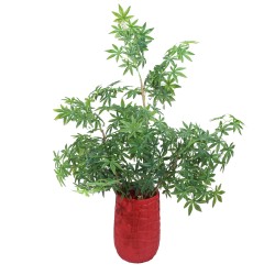 Ghiveci ecologic, Eco-friendly, Naimeed D6390, Mic, din materiale minerale, Rosu, 31x20x20cm