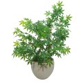 Ghiveci ecologic, Eco-friendly, Naimeed D6410, Mediu, din materiale minerale, Bej, 30x35x35cm Ghiveci ecologic, Eco-friendly, Naimeed D6410, Mediu, din materiale minerale, Bej, 30x35x35cm