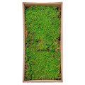 Muschi Premium naturali, stabilizati, Naimeed D6558, pentru decoratiuni hand made, biodegradabili, 500g Muschi Premium naturali, stabilizati, Naimeed D6558, pentru decoratiuni hand made, biodegradabili, 500g