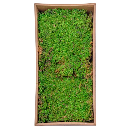 Muschi Premium naturali, stabilizati, Naimeed D6558, pentru decoratiuni hand made, biodegradabili, 500g Muschi Premium naturali, stabilizati, Naimeed D6558, pentru decoratiuni hand made, biodegradabili, 500g