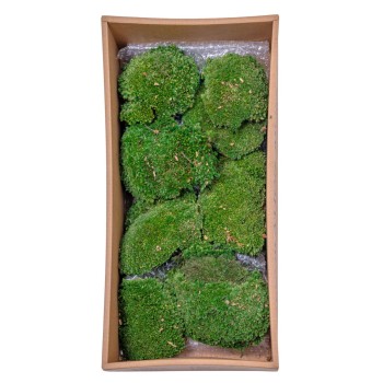 Muschi Premium naturali, stabilizati, Naimeed D6559, pentru decoratiuni hand made, biodegradabili, 500g