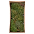 Muschi Premium naturali, stabilizati, Naimeed D6560, pentru decoratiuni hand made, biodegradabili, 500g Muschi Premium naturali, stabilizati, Naimeed D6560, pentru decoratiuni hand made, biodegradabili, 500g