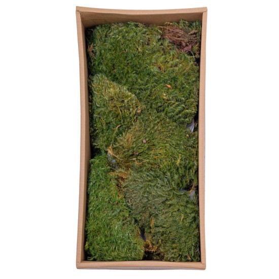 Muschi Premium naturali, stabilizati, Naimeed D6560, pentru decoratiuni hand made, biodegradabili, 500g Muschi Premium naturali, stabilizati, Naimeed D6560, pentru decoratiuni hand made, biodegradabili, 500g