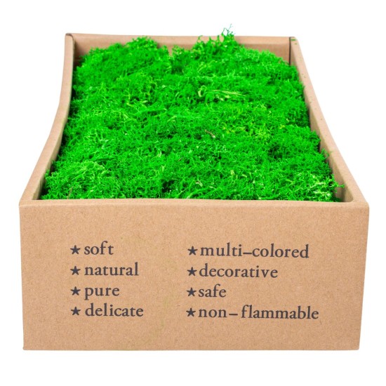 Licheni Premium naturali, stabilizati, Naimeed D6562, pentru decoratiuni hand made, biodegradabili, 500g