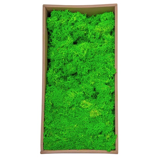 Licheni Premium naturali, stabilizati, Naimeed D6562, pentru decoratiuni hand made, biodegradabili, 500g Licheni Premium naturali, stabilizati, Naimeed D6562, pentru decoratiuni hand made, biodegradabili, 500g