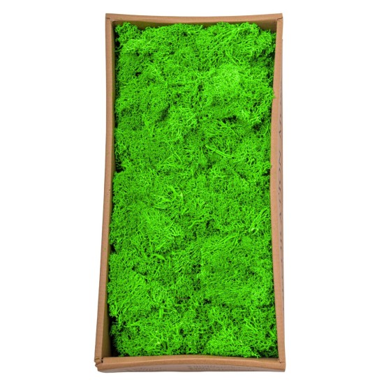 Licheni Premium naturali, stabilizati, Naimeed D6563, pentru decoratiuni hand made, biodegradabili, 500g Licheni Premium naturali, stabilizati, Naimeed D6563, pentru decoratiuni hand made, biodegradabili, 500g