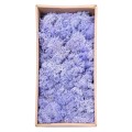 Licheni Premium naturali, stabilizati, Naimeed D6568, pentru decoratiuni hand made, biodegradabili, 500g Licheni Premium naturali, stabilizati, Naimeed D6568, pentru decoratiuni hand made, biodegradabili, 500g