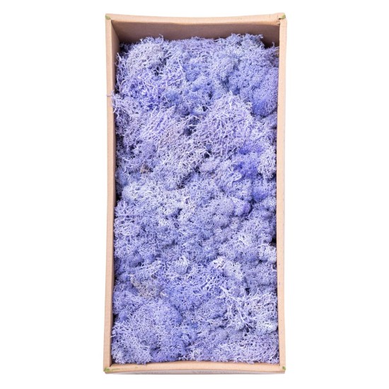 Licheni Premium naturali, stabilizati, Naimeed D6568, pentru decoratiuni hand made, biodegradabili, 500g Licheni Premium naturali, stabilizati, Naimeed D6568, pentru decoratiuni hand made, biodegradabili, 500g