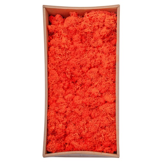 Licheni Premium naturali, stabilizati, Naimeed D6569, pentru decoratiuni hand made, biodegradabili, 500g Licheni Premium naturali, stabilizati, Naimeed D6569, pentru decoratiuni hand made, biodegradabili, 500g