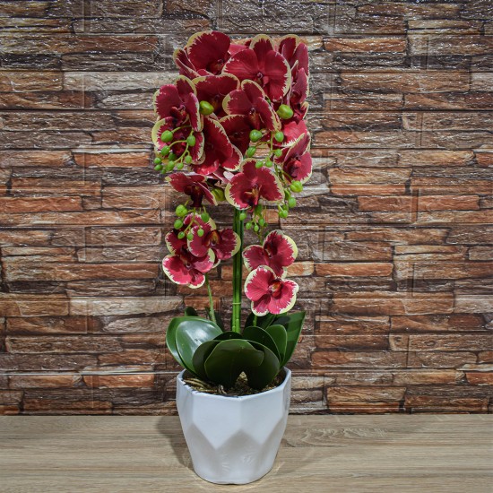 Orhidee cu aspect natural in ghiveci ceramic, 70 cm, Naimeed D4842, Rosu Orhidee cu aspect natural in ghiveci ceramic, 70 cm, Naimeed D4842, Rosu