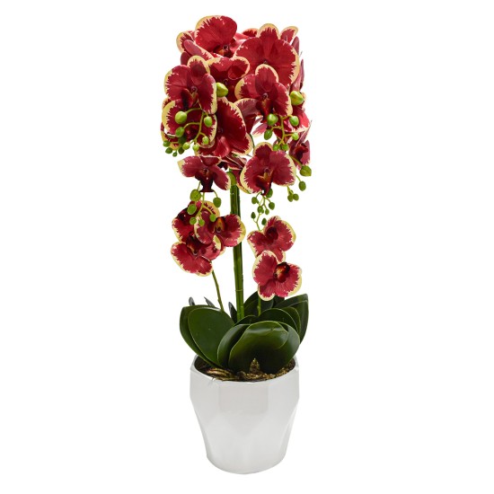 Orhidee cu aspect natural in ghiveci ceramic, 70 cm, Naimeed D4842, Rosu Orhidee cu aspect natural in ghiveci ceramic, 70 cm, Naimeed D4842, Rosu