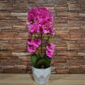 Orhidee cu aspect natural in ghiveci ceramic, 70 cm, Naimeed D4842, Roz Orhidee cu aspect natural in ghiveci ceramic, 70 cm, Naimeed D4842, Roz