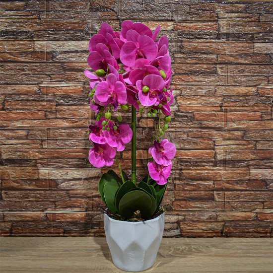 Orhidee cu aspect natural in ghiveci ceramic, 70 cm, Naimeed D4842, Roz Orhidee cu aspect natural in ghiveci ceramic, 70 cm, Naimeed D4842, Roz