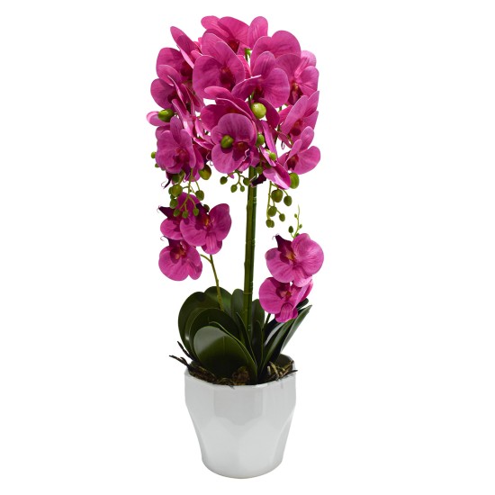 Orhidee cu aspect natural in ghiveci ceramic, 70 cm, Naimeed D4842, Roz Orhidee cu aspect natural in ghiveci ceramic, 70 cm, Naimeed D4842, Roz