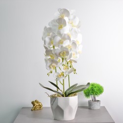 Orhidee cu aspect natural in ghiveci ceramic, 70 cm, Naimeed D4843, Alb