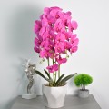 Orhidee cu aspect natural in ghiveci ceramic, 70 cm, Naimeed D4843, Magenta