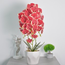 Orhidee cu aspect natural in ghiveci ceramic, 70 cm, Naimeed D4843, Rosu