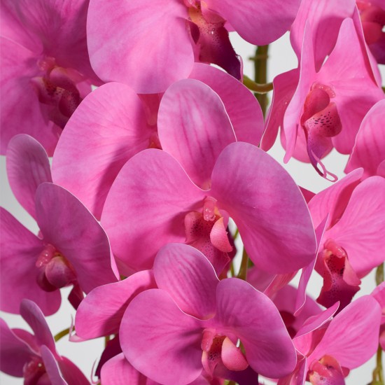 Orhidee cu aspect natural in ghiveci ceramic, 70 cm, Naimeed D4843, Magenta