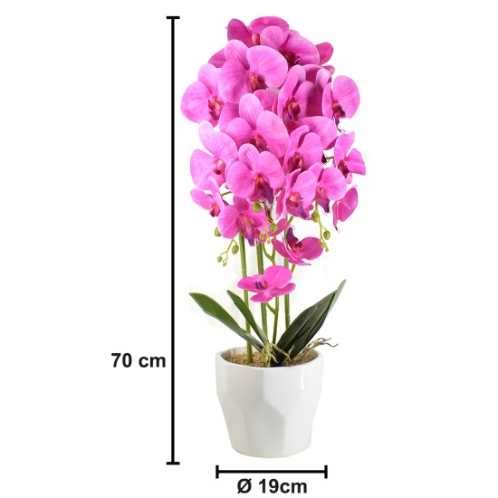Orhidee cu aspect natural in ghiveci ceramic, 70 cm, Naimeed D4843, Magenta