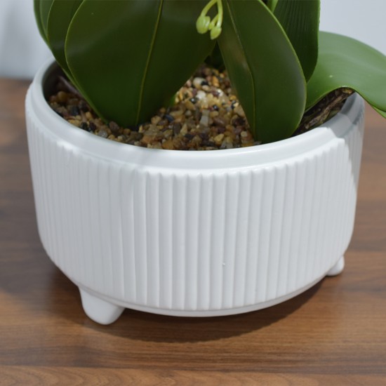 Orhidee cu aspect natural in ghiveci ceramic, 71 cm, Naimeed D4844, Magenta