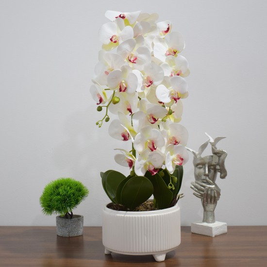 Orhidee cu aspect natural in ghiveci ceramic, 71 cm, Naimeed D4844, Alb