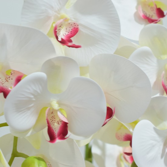 Orhidee cu aspect natural in ghiveci ceramic, 71 cm, Naimeed D4844, Alb