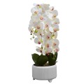 Orhidee cu aspect natural in ghiveci ceramic, 71 cm, Naimeed D4844, Alb