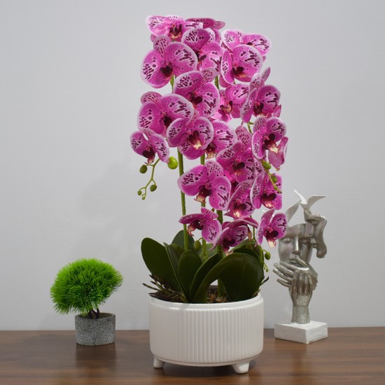 Orhidee cu aspect natural in ghiveci ceramic, 71 cm, Naimeed D4844, Magenta