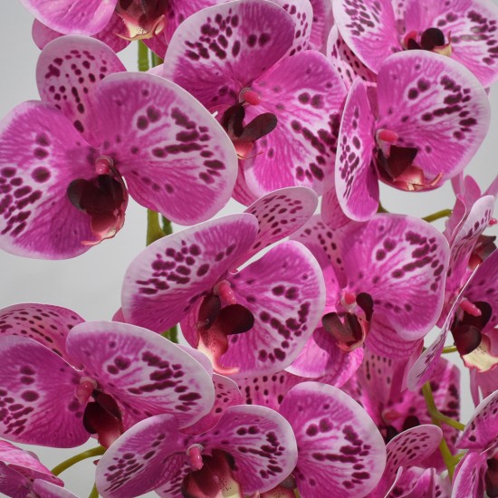 Orhidee cu aspect natural in ghiveci ceramic, 71 cm, Naimeed D4844, Magenta