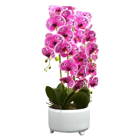 Orhidee cu aspect natural in ghiveci ceramic, 71 cm, Naimeed D4844, Magenta