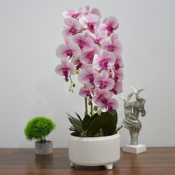 Orhidee cu aspect natural in ghiveci ceramic, 71 cm, Naimeed D4844, Roz