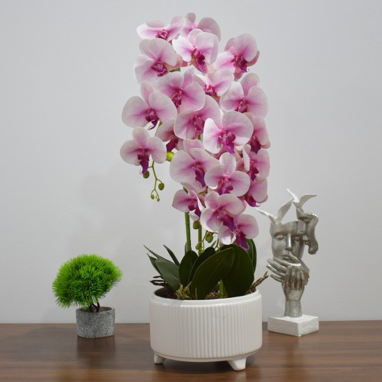 Orhidee cu aspect natural in ghiveci ceramic, 71 cm, Naimeed D4844, Roz