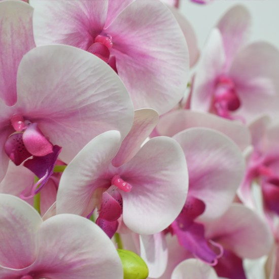 Orhidee cu aspect natural in ghiveci ceramic, 71 cm, Naimeed D4844, Roz