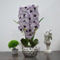 Orhidee cu aspect natural in ghiveci ceramic, 60 cm, Naimeed D4845, Amethyst