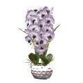 Orhidee cu aspect natural in ghiveci ceramic, 60 cm, Naimeed D4845, Amethyst